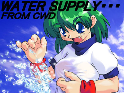 ＣＷＤさんからのブルマーＣＧ。