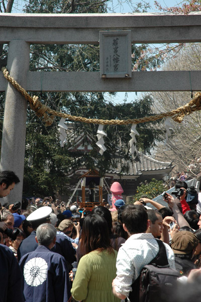 かなまら大神輿。